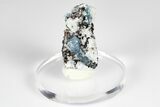 Blue Kyanite & Garnet in Biotite-Quartz Schist - Russia #178929-1